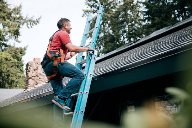 Roof Coating Services in Hilo, HI